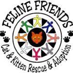 Feline Friends Holiday Bazaar